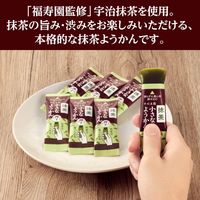 片手で食べられる小さなようかん 抹茶 8個 井村屋 羊羹