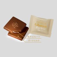 プレミアムガーナ 濃厚生チョコレート＜芳醇ミルク＞ 6個 ロッテ チョコレート