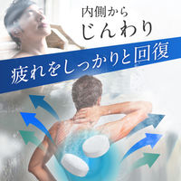 【お得な大容量】 ホットタブ リカバリー 薬用 重炭酸入浴剤 30回分 1パック（90錠入：1回3錠）医薬部外品 ホットアルバム炭酸泉タブレット