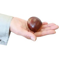 アデリー 【5個セット】山口県産がんね栗の焼きモンブラン HFGN-001-5 5袋（直送品）