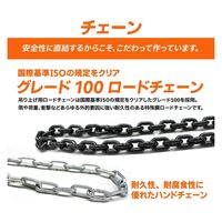 ベストアンサー 360度回転操作可能 チェーンブロック 0.25t diy-066 1台（直送品）
