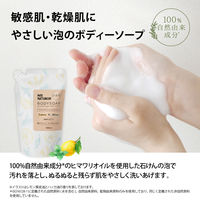 パックスナチュロン　ボディーソープ　詰替用　レモン＆ミント　５００ml　 1個 泡　敏感肌　無添加　天然由来100%　せっけん 【泡タイプ】