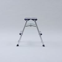 YAMAZEN 天板が広くて安心なアルミ幅広踏み台 2段 YM-DB02SG(DBL) 1台