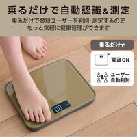 エレコム エクリア体重計/BMI表示可能/カフェブラウン HCS-S02BR 1個