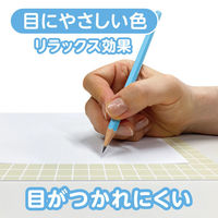 共栄プラスチック 下敷 しっかりシタ字キ A4 方眼/無地リバーシブル きなこもち SHS-A4-03 1セット(1枚×2)