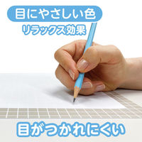 共栄プラスチック 下敷 しっかりシタ字キ A4 方眼/無地リバーシブル コーヒー牛乳 SHS-A4-05 1セット(1枚×2)