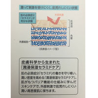 Curel（キュレル） 乳液 120mL 花王　敏感肌