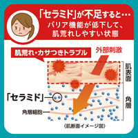 Curel（キュレル） 入浴剤 詰め替え 360mL 花王　敏感肌