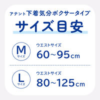 アテント 大人用おむつ 下着気分ボクサータイプうす型パンツ  2回 Lサイズ 2枚:（1パック×2枚入）エリエール 大王製紙