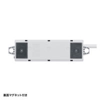 サンワサプライ 工事物件タップ(3P・2個口・3m) TAP-KS2N-3 1本