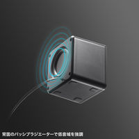 サンワサプライ コンパクトUSBスピーカー MM-SPU21BK 1個