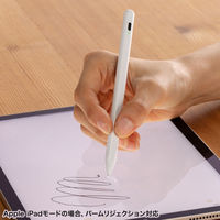 サンワサプライ ハイブリッド充電式極細タッチペン(ホワイト) PDA-PEN58W 1本