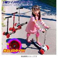 池商 ツイストスクーター LEDタイヤ ブレーキ付き D-TC-SV シルバー 1台（直送品）