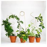 杉田エース Botanopia植物用くい ゴールデン アーチ CYB694536 1セット(3枚)（直送品）