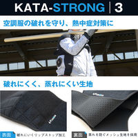 オーミヤ カタストロング3 SP-51 1枚