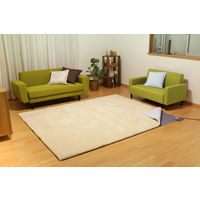 アイリスオーヤマ ホットカーペット 3畳 電気カーペット 195×235cm ダニ退治 無段階温度調節 IHC-30-H グレー（直送品）