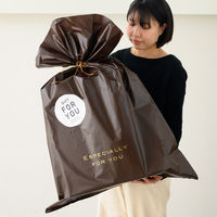 ヘッズ シンプルビッグバッグブラウンーJB EVB-JB 1袋(20枚入)