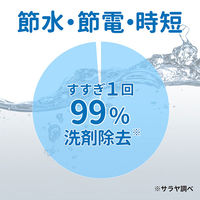 【旧品】ヤシノミ洗たく洗剤 濃縮タイプ 本体 600ml 1個 衣料用洗剤 サラヤ
