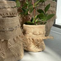 杉田エース AFFARI OF SWEDENカリファポット Φ10 CWB956236 1セット(3個)（直送品）