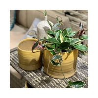 杉田エース D&M depotCURVE オーキッドポット D25 イエロー CWJ955729 1個（直送品）