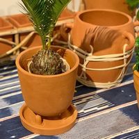 杉田エース SERAXコニカルポット ウィズ ソーサー D15.5 B7218154 CWW694646 1セット(2個)（直送品）