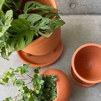 杉田エース SERAXコニカルポット ウィズ ソーサー D25 B7218155 CWW694647 1個（直送品）