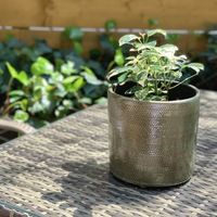 杉田エース SERAXストラクチャーポット グリーン D24 CWW694544 1個（直送品）