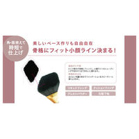 フェリセラテノン スピーディーファンデブラシ ビューティーワールド