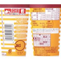 日清食品 日清タテ型チキンラーメンカップ 1セット（5個）