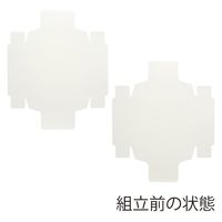 ＨＥＩＫＯ 洋品箱　ソフィアボックス ＳＯー００３ 無地 006857252 1セット(10枚入×10袋 合計100枚)（直送品）