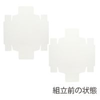 ＨＥＩＫＯ 洋品箱　ソフィアボックス ＳＯー００５ 無地 006857254 1セット(10枚入×10袋 合計100枚)（直送品）