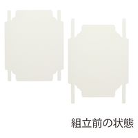 ＨＥＩＫＯ 洋品箱　ソフィアボックス ＳＯー００８ 無地 006857257 1セット(10枚入×10袋 合計100枚)（直送品）