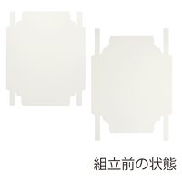 ＨＥＩＫＯ 洋品箱　ソフィアボックス ＳＯー０１１ 無地 006857260 1セット(10枚入×10袋 合計100枚)（直送品）