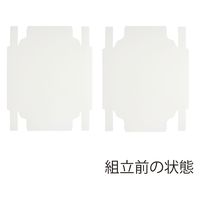 ＨＥＩＫＯ 洋品箱　ソフィアボックス ＳＯー０１３ 無地 006857262 1セット(10枚入×10袋 合計100枚)（直送品）