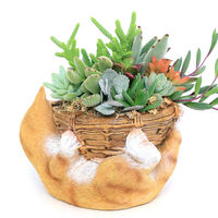 チャーム （観葉植物）多肉寄せ植え　子猫のバスケット　鉢色おまかせ（１鉢） 348241（直送品）