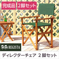 ホームテイスト REGISTA(レジスタ) 布製 ディレクターチェア グリーン SH-05-79497 1脚（直送品）
