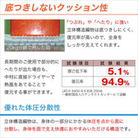 ホームテイスト ファインエアー(R) マットレス シングル 縦1000×横2000ｍm ブラック SH-FAO-450S 1枚（直送品）