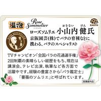 入浴剤 炭酸 温泉の素 温泡 ONPO ローズソムリエ 1箱（12錠入）アース製薬