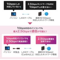 サンワサプライ USB3.2 Type-C-LAN変換アダプタ(2.5Gbps対応) USB-CVLAN6BK 1個