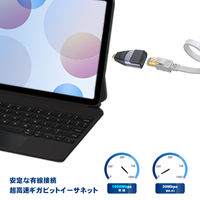 LANアダプター USB Type-C to LANポート変換 VV-UCRJS-AL 1個 Vodaview