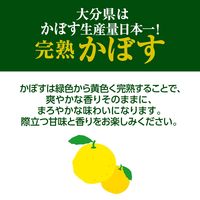 伊藤園 ニッポンエール 完熟かぼすSODA 大分県産 410ml 1箱（24本入）