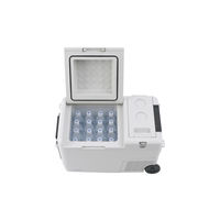 アイリスオーヤマ 充電式ポータブル冷温庫26L IPDW-B3A-W 1台