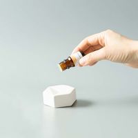 【ギフト】 生活の木 生活の木の、はじめてみた。 アロマストーンセット