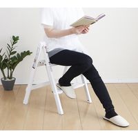 パール金属 カラーアルミステップ おりたたみスリム 2段 ホワイト N-7620 1個（直送品）