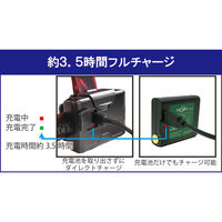 グランツ LEDハイブリットヘッドライト RVH-01R 1台（直送品）