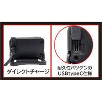 グランツ LEDハイブリットヘッドライト RVH-03R 1台（直送品）