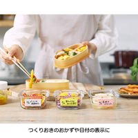 ニチバン ディアキッチン ワザアリテープ ホルダー付 ホワイト 幅25mm×6m DK-WAN255H 1個