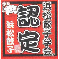 サニーフーズ 浜松餃子 (HG-40TN) R447P1171A 1セット（直送品）