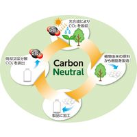 薬用水石鹸iグリーン 無香料 500ml バイオマスボトル 1個 アルボース