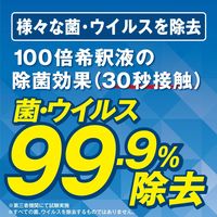 リンレイ ハイジェニッククリーナー エコボトル　4L 725534 1箱（3本入）（直送品）